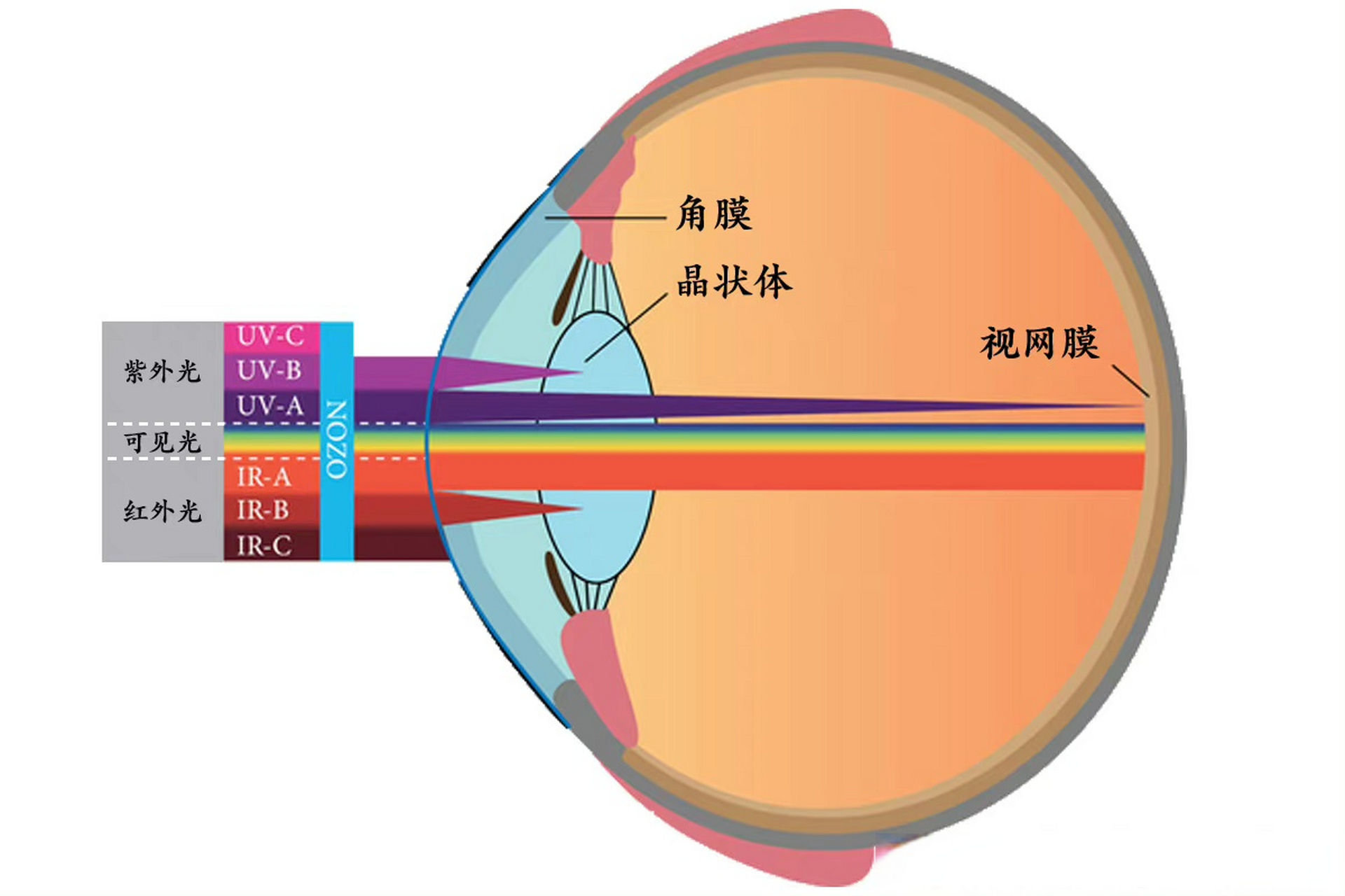 激光人眼安全限值介紹
